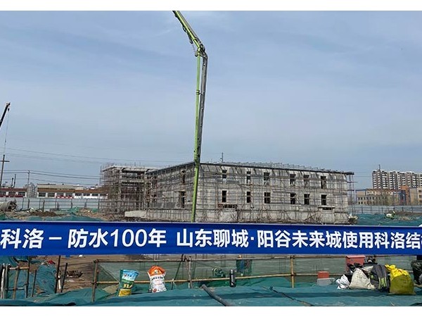 地下室混凝土防水劑，混凝土結(jié)構(gòu)一百年防裂