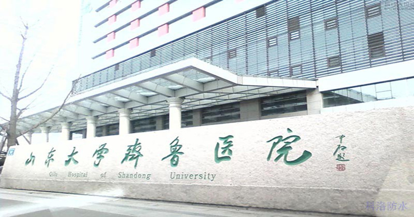 山東大學齊魯醫院